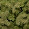7.5 Ft. Unlit Feel Real® Downswept Douglas Fir Full Artificial Christmas Tree